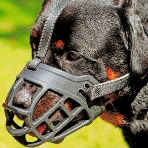 Barkless Dog Muzzle Soft Basket Silicone Large Size 4